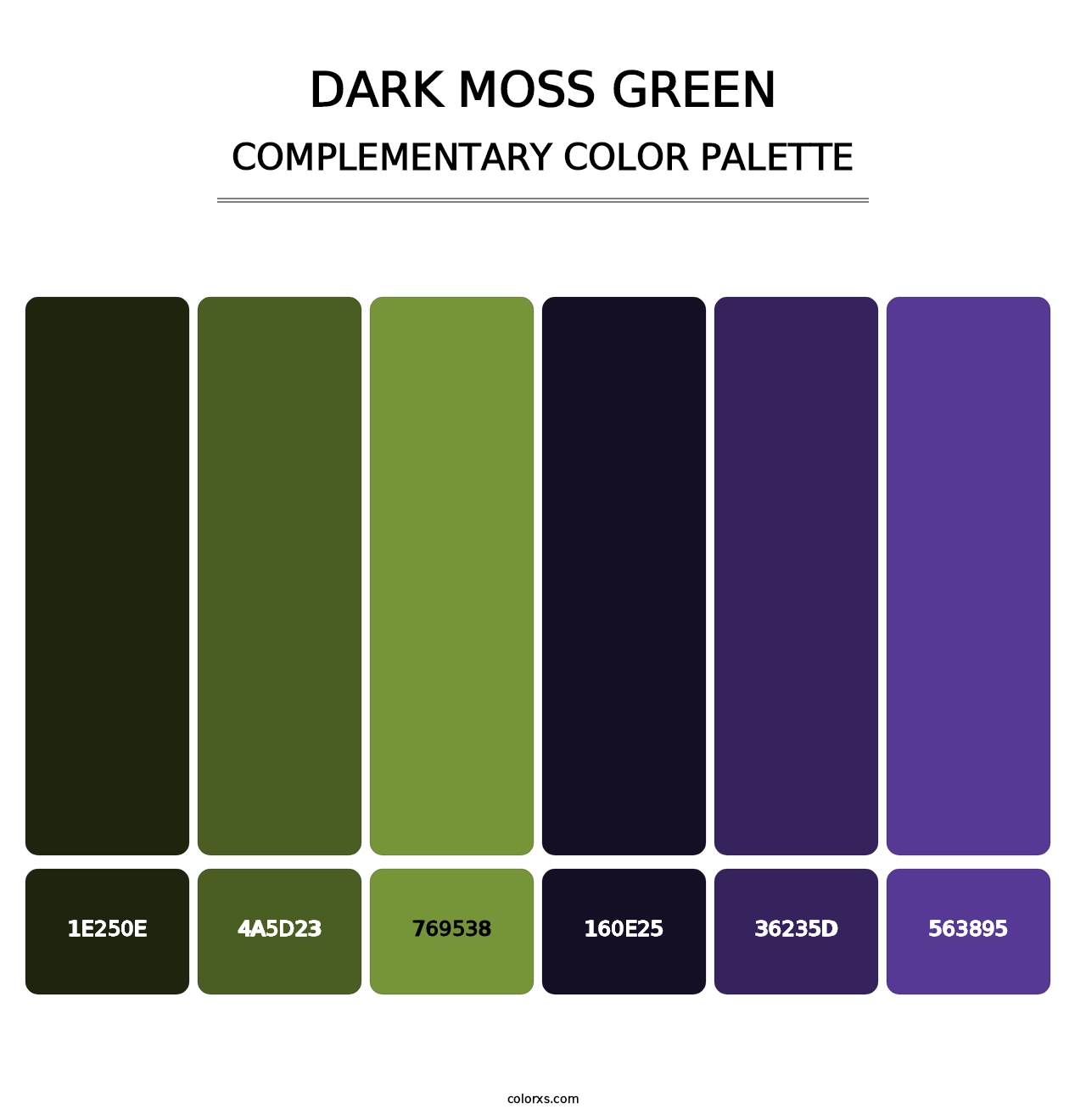 Dark Moss Green - Complementary Color Palette