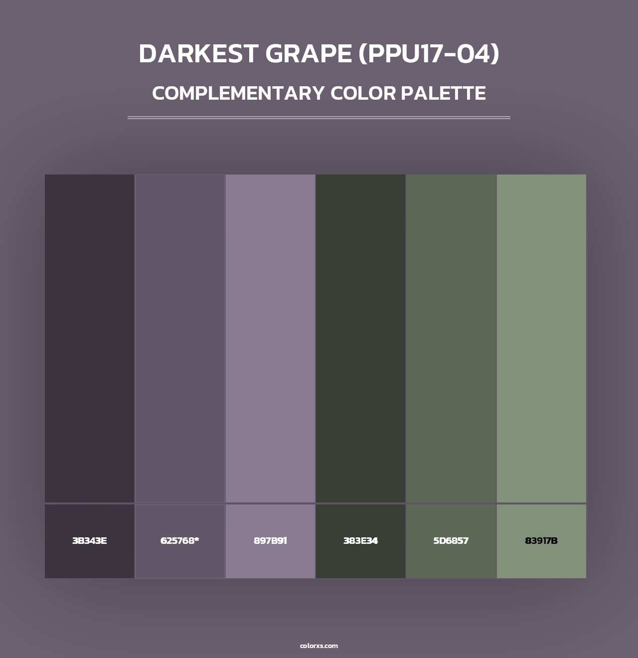 Darkest Grape (PPU17-04) - Complementary Color Palette
