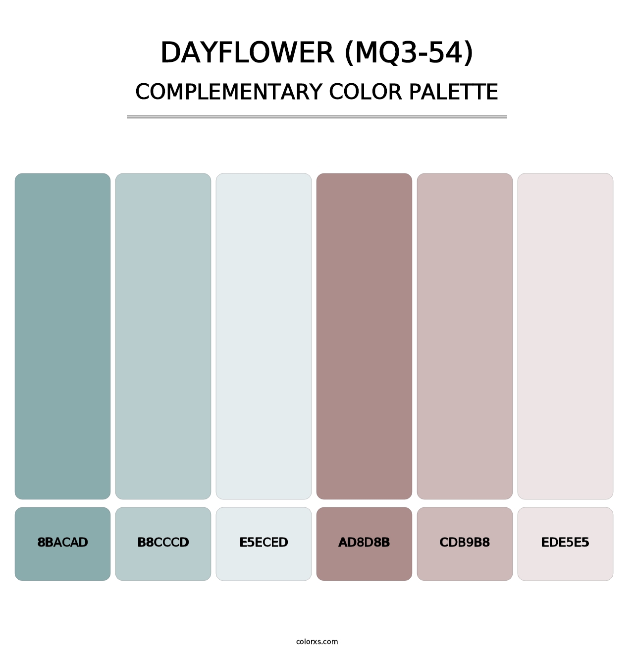 Dayflower (MQ3-54) - Complementary Color Palette