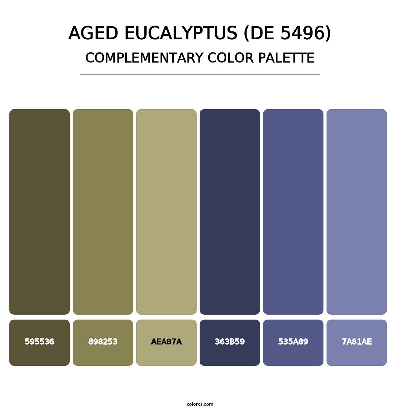 Aged Eucalyptus (DE 5496) - Complementary Color Palette