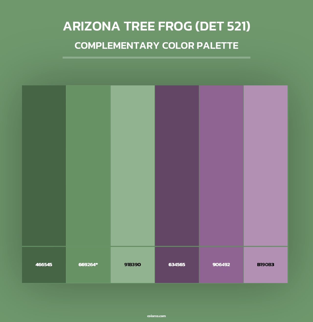 Arizona Tree Frog (DET 521) - Complementary Color Palette