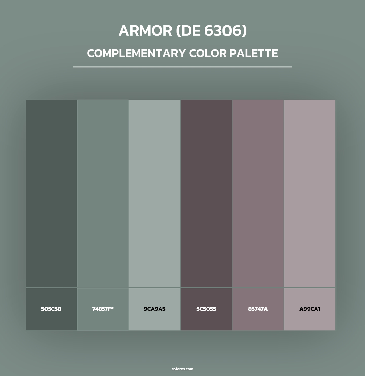 Armor (DE 6306) - Complementary Color Palette