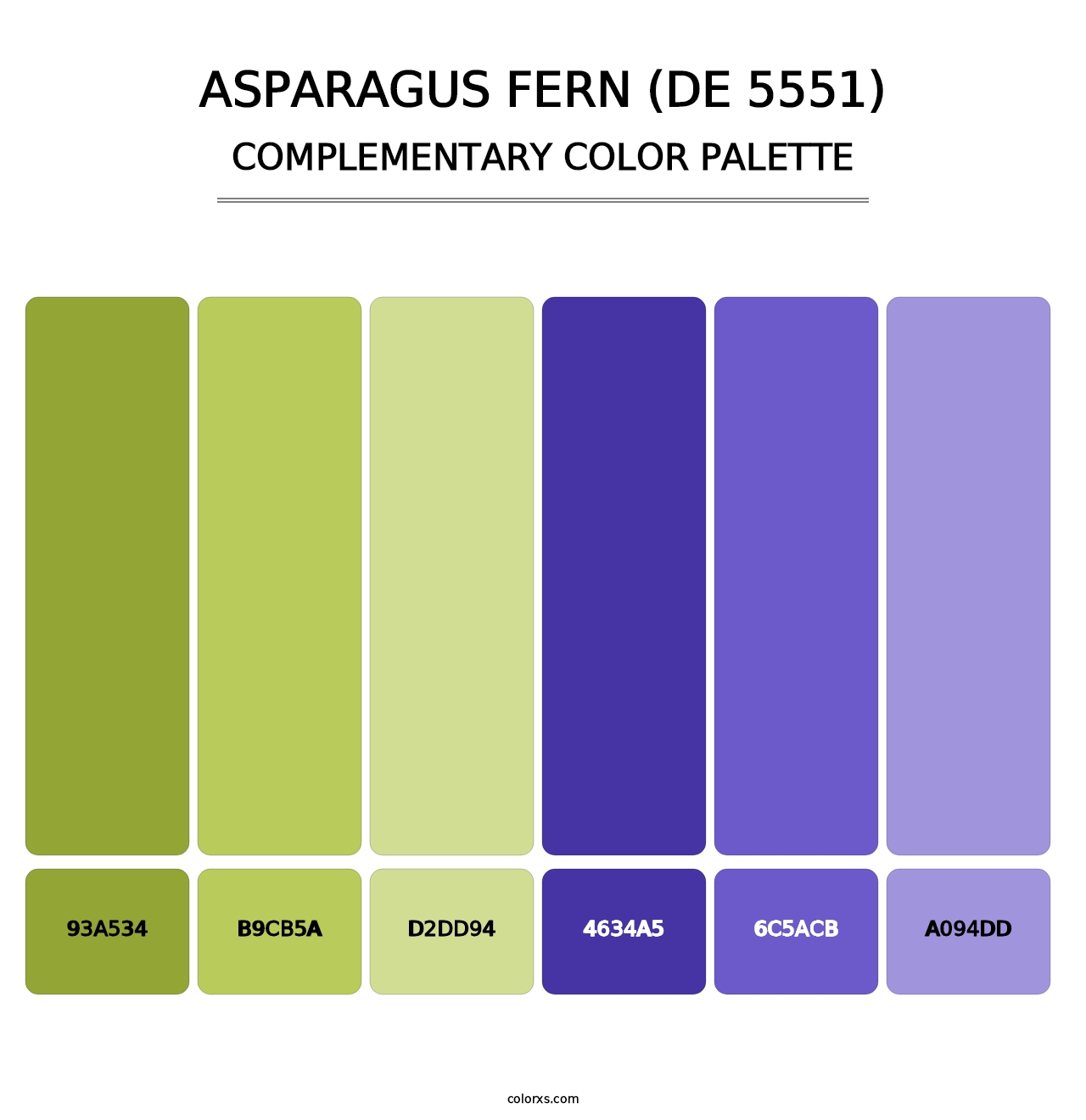 Asparagus Fern (DE 5551) - Complementary Color Palette