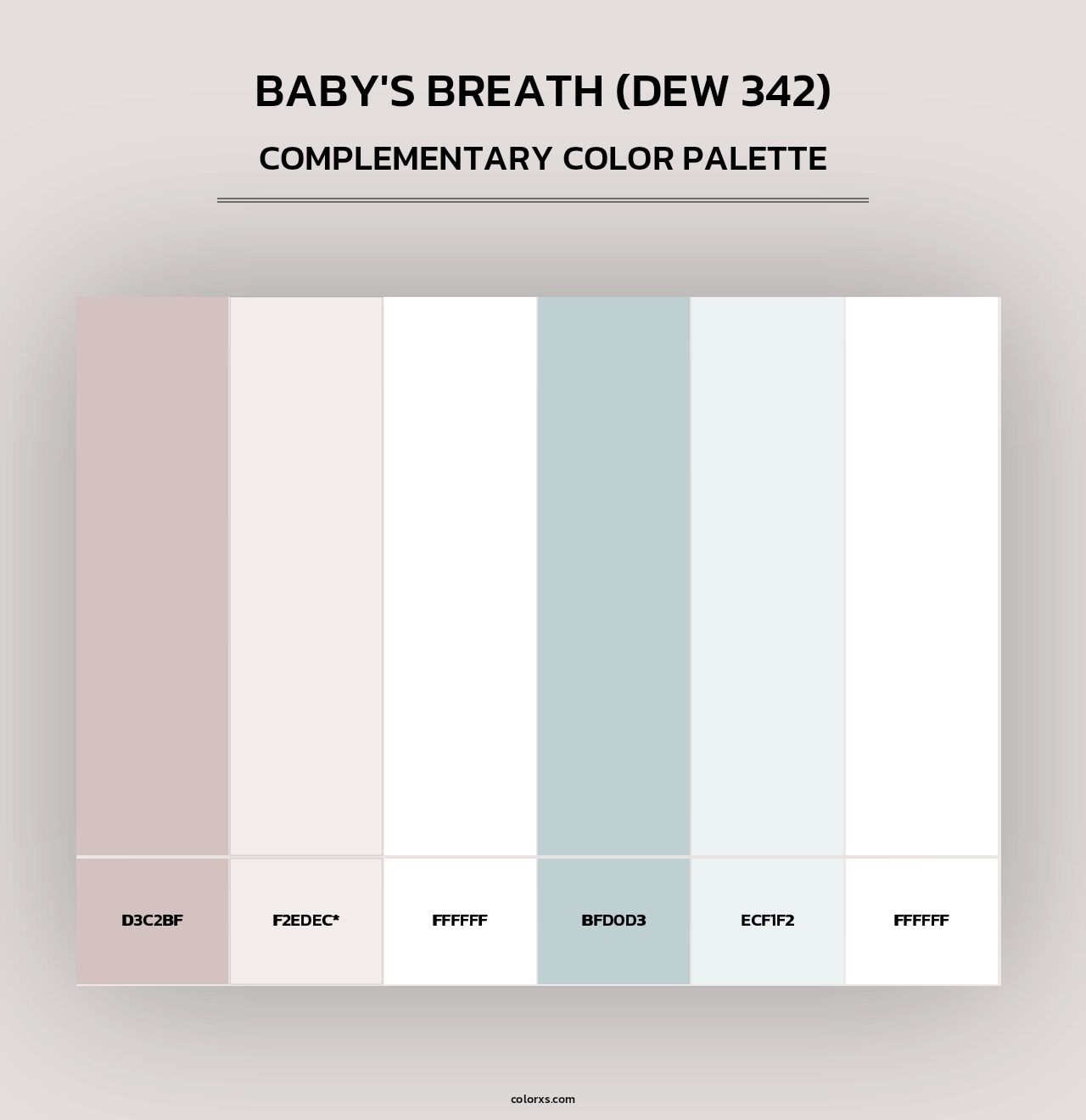 Baby's Breath (DEW 342) - Complementary Color Palette