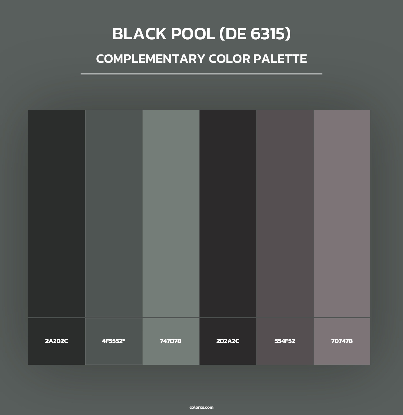 Black Pool (DE 6315) - Complementary Color Palette