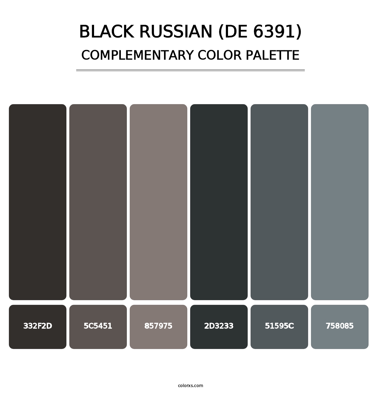 Black Russian (DE 6391) - Complementary Color Palette