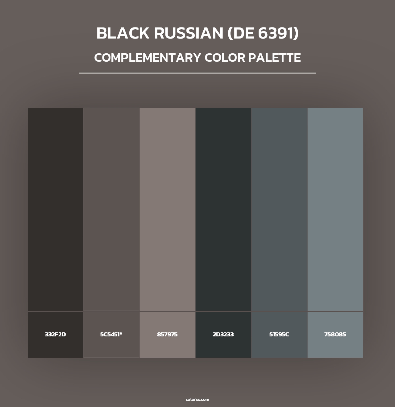 Black Russian (DE 6391) - Complementary Color Palette