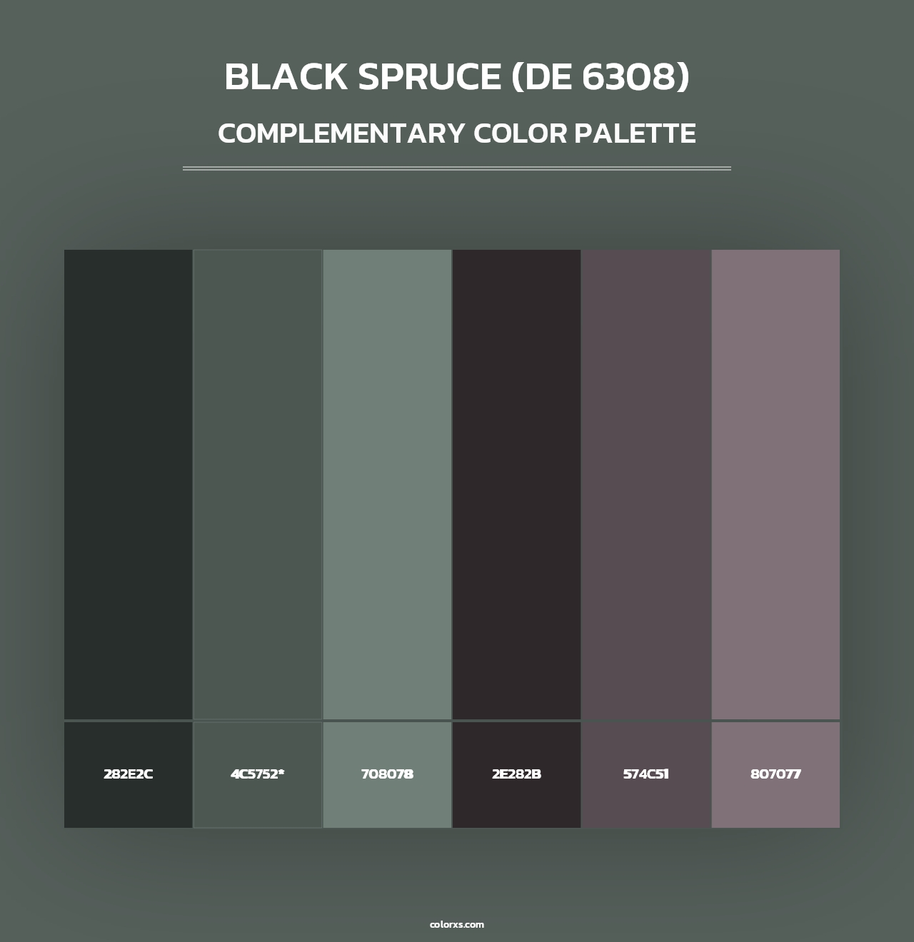 Black Spruce (DE 6308) - Complementary Color Palette