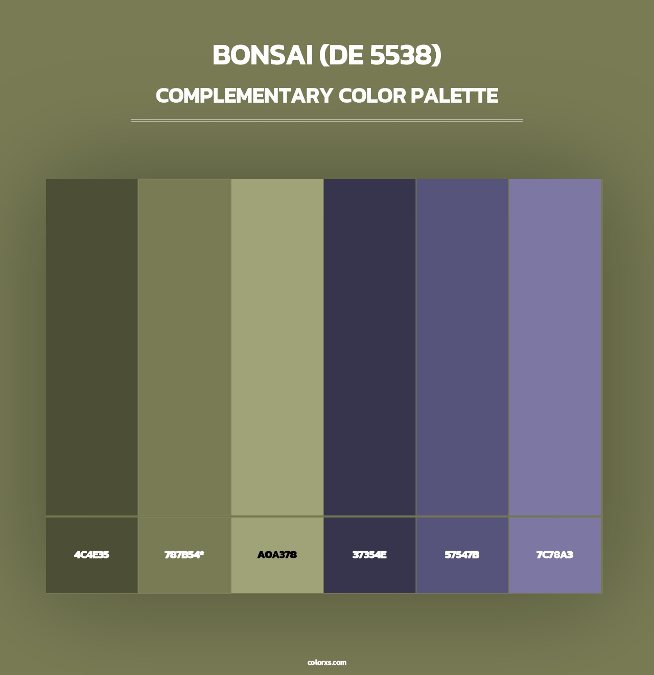 Bonsai (DE 5538) - Complementary Color Palette