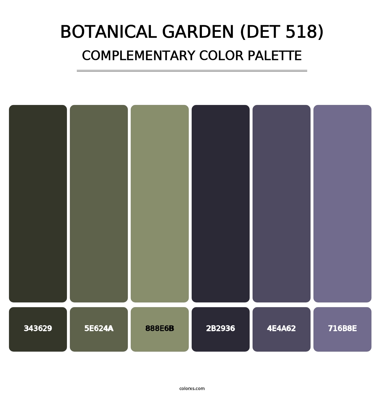 Botanical Garden (DET 518) - Complementary Color Palette
