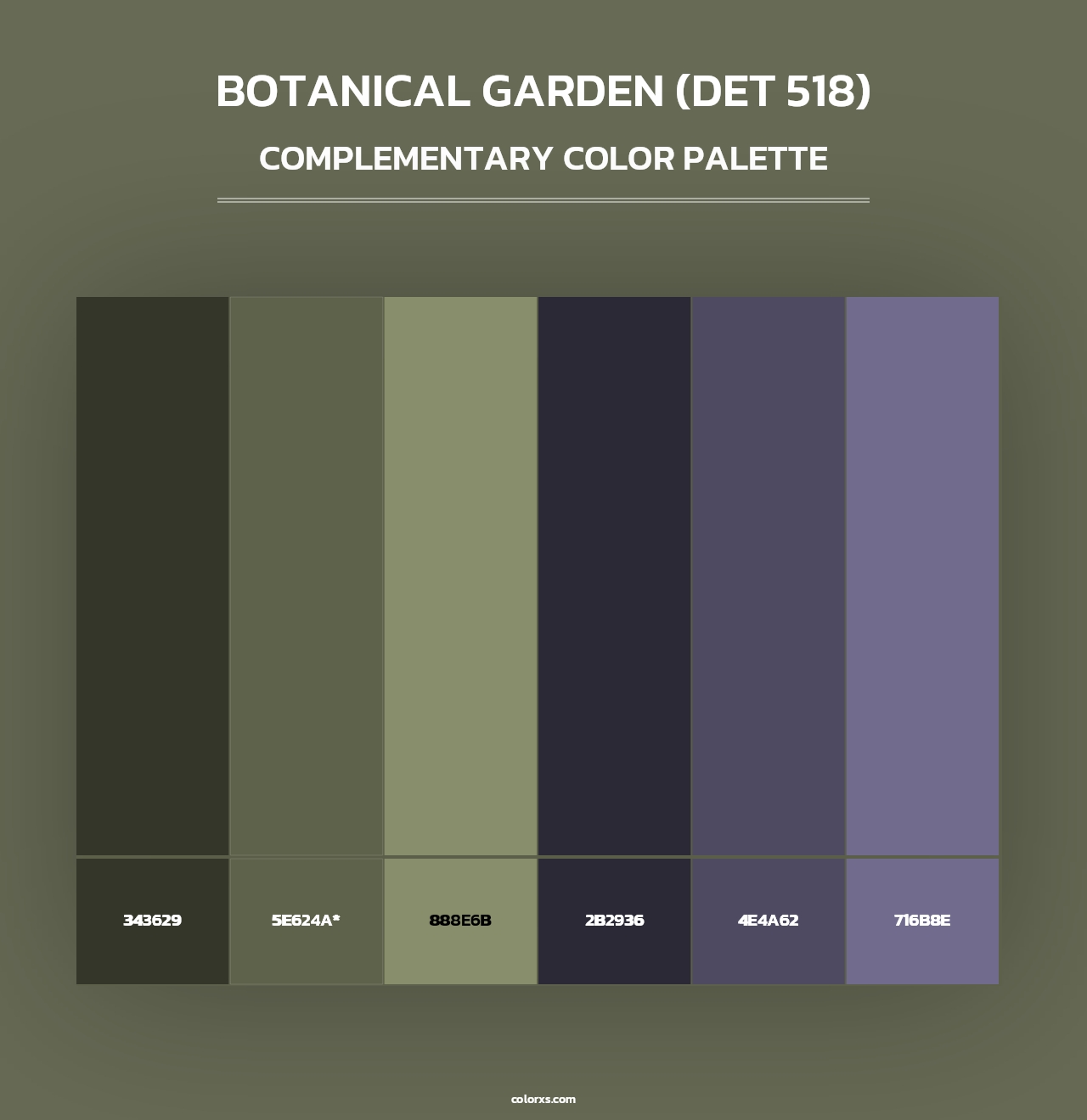 Botanical Garden (DET 518) - Complementary Color Palette