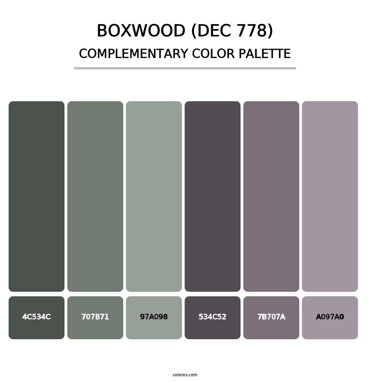Boxwood (DEC 778) - Complementary Color Palette