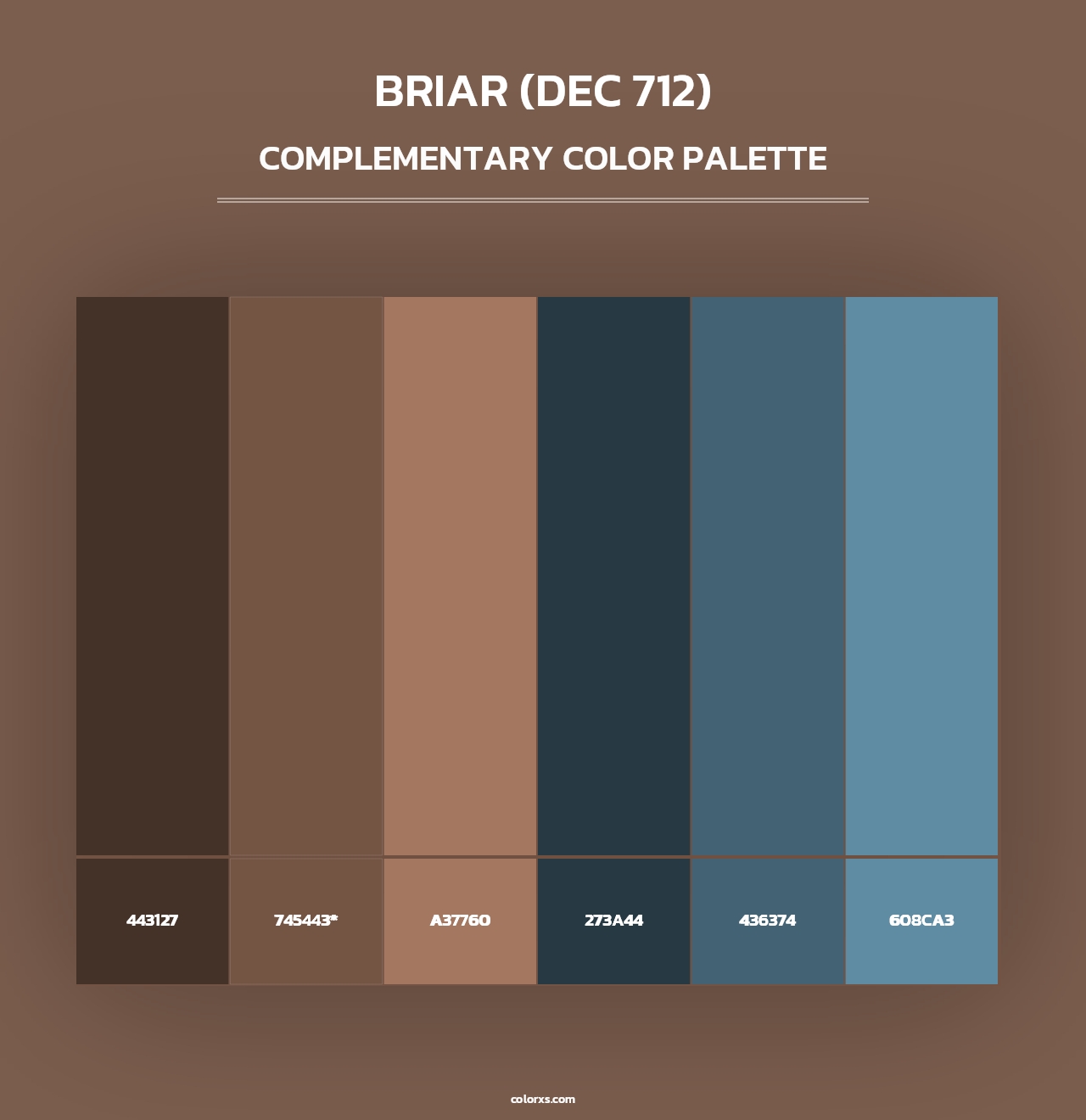 Briar (DEC 712) - Complementary Color Palette