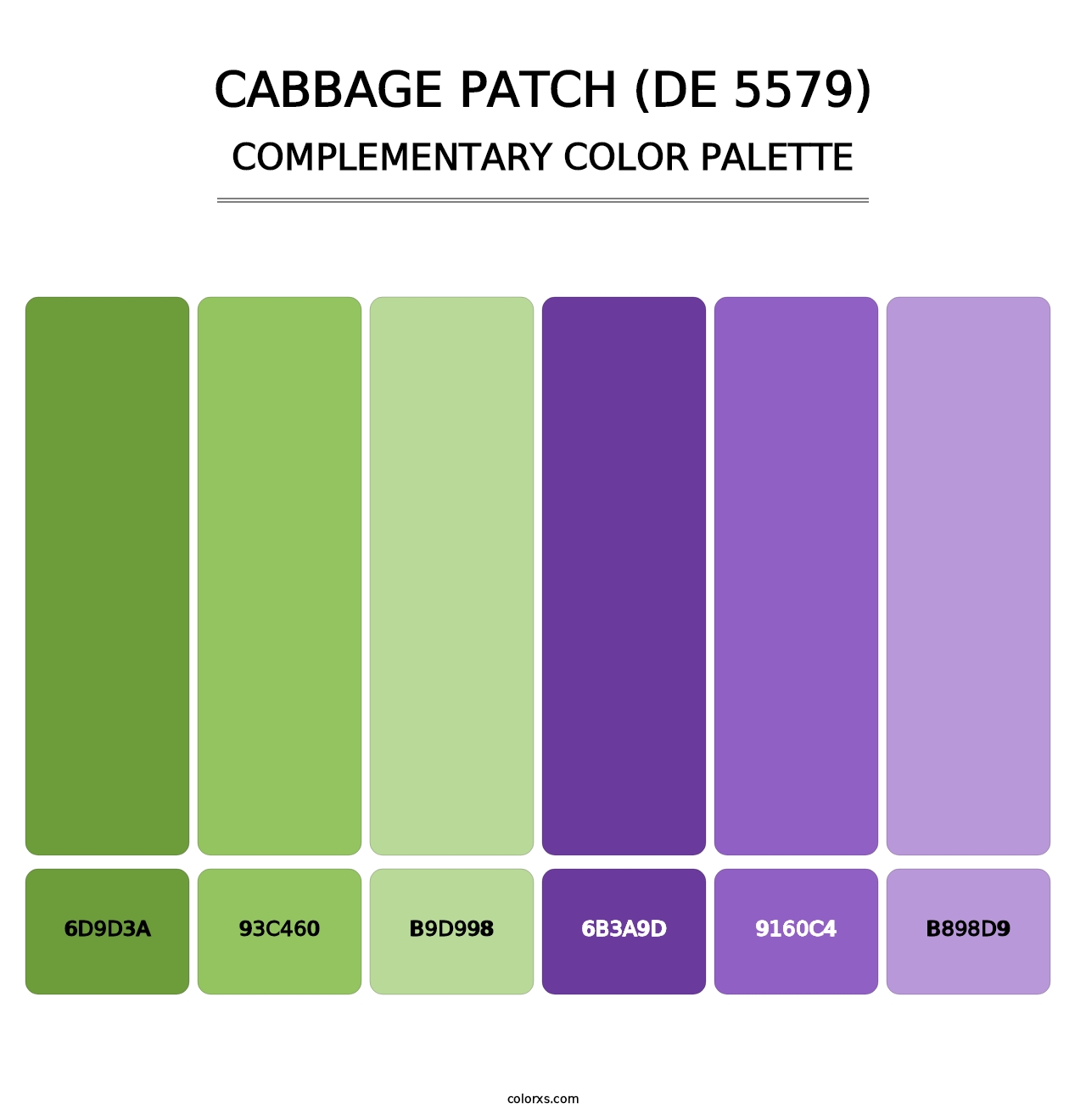 Cabbage Patch (DE 5579) - Complementary Color Palette