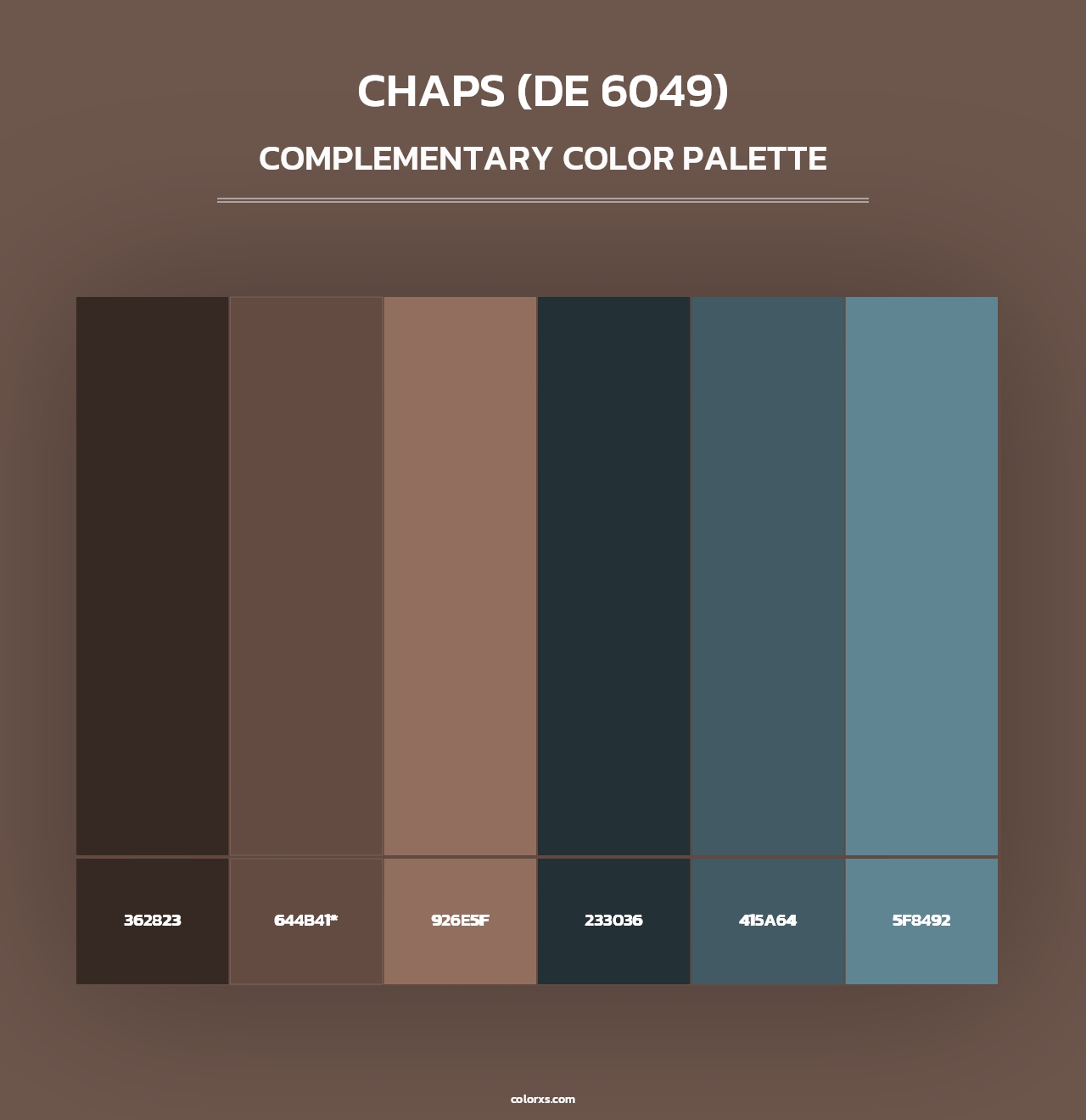 Chaps (DE 6049) - Complementary Color Palette