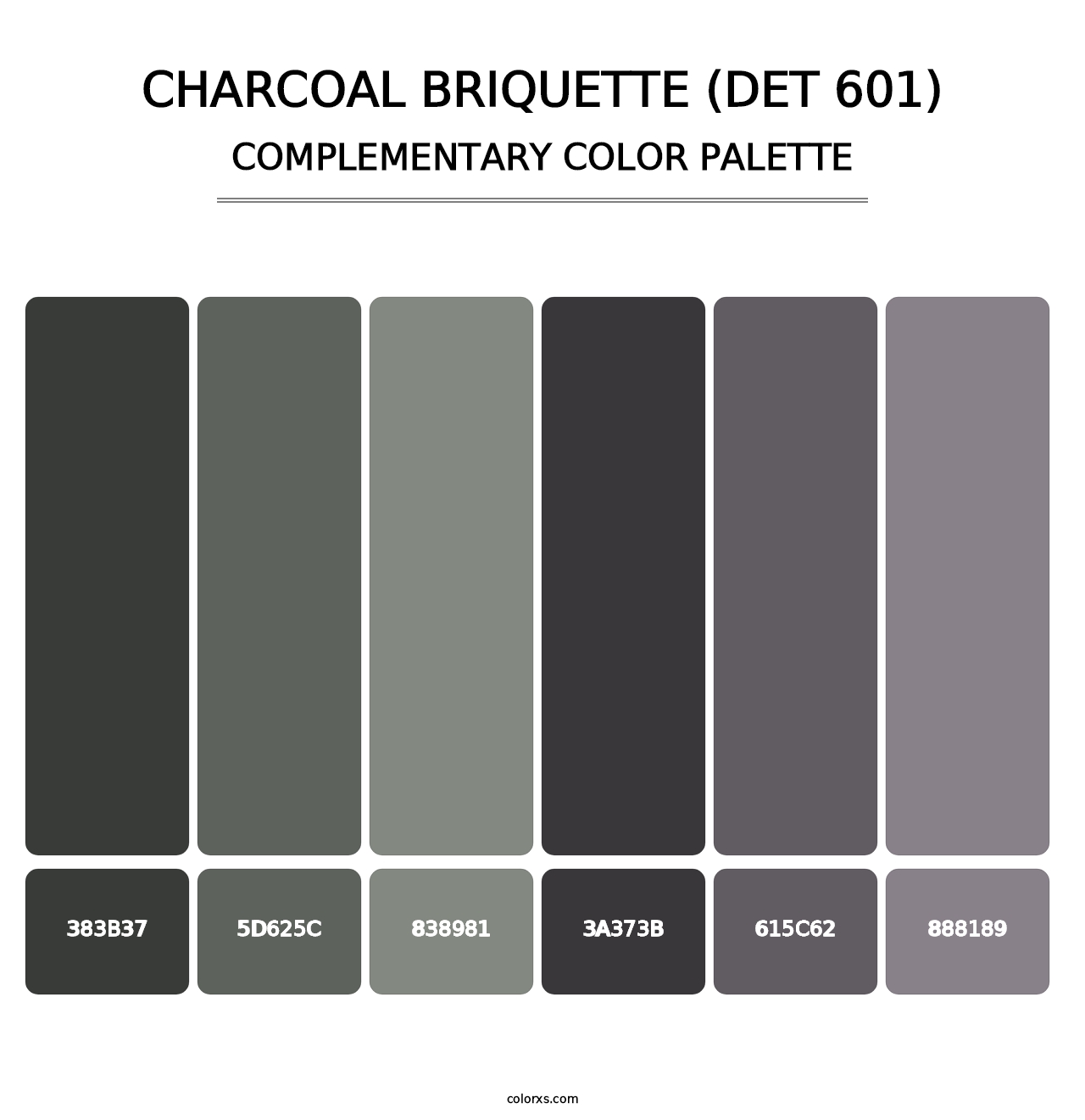 Charcoal Briquette (DET 601) - Complementary Color Palette