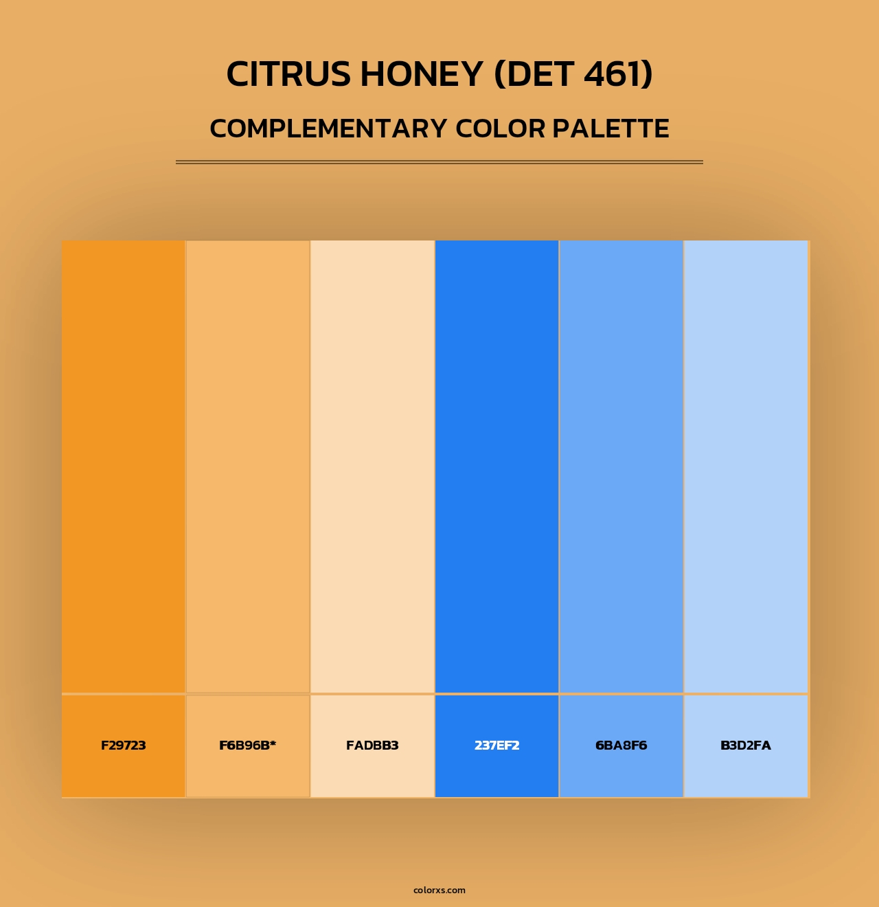 Citrus Honey (DET 461) - Complementary Color Palette