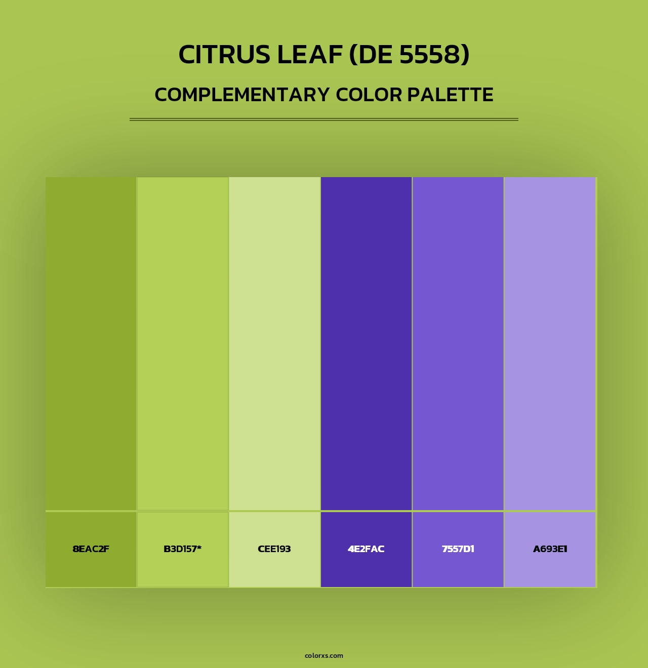 Citrus Leaf (DE 5558) - Complementary Color Palette
