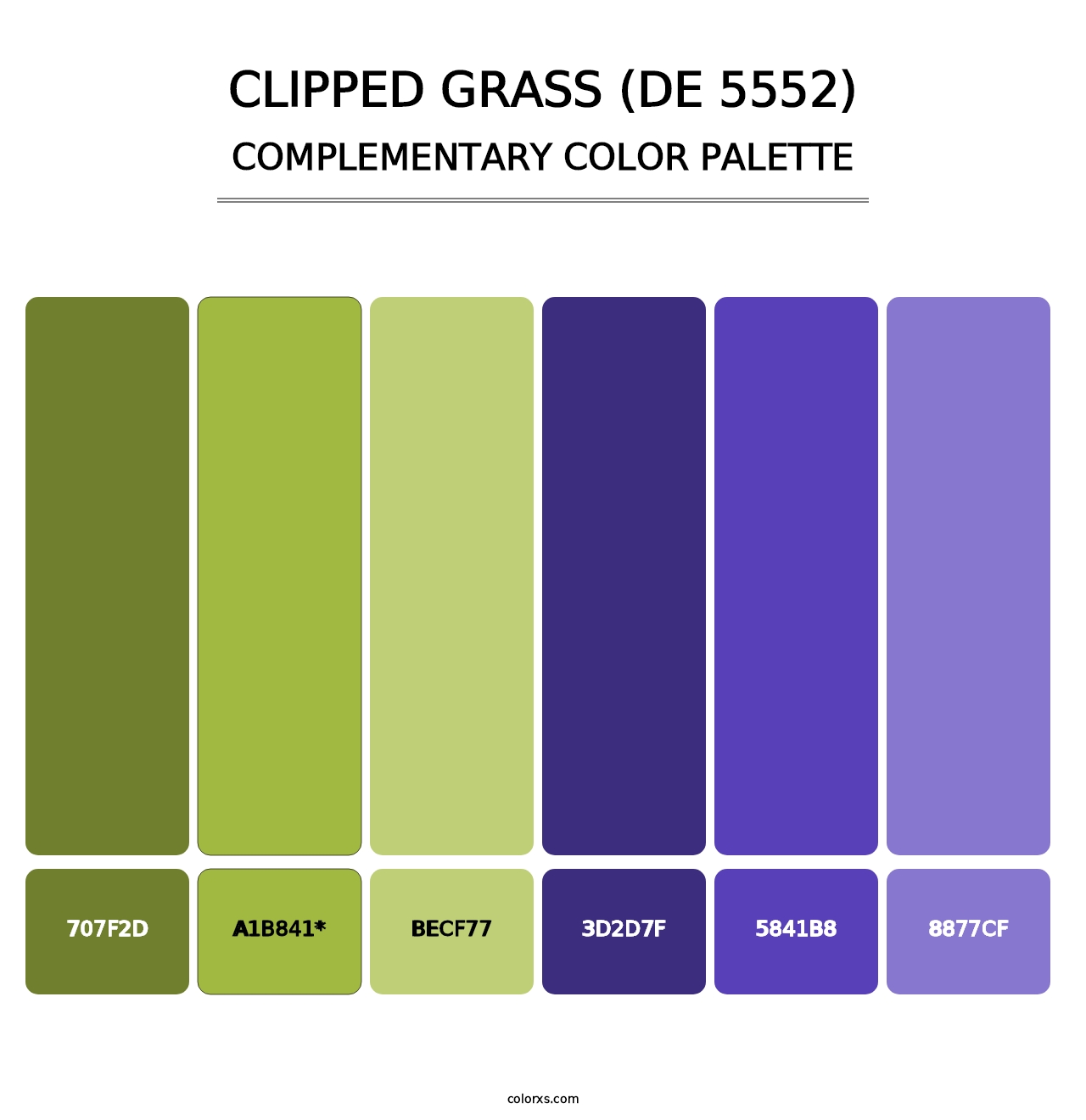 Clipped Grass (DE 5552) - Complementary Color Palette
