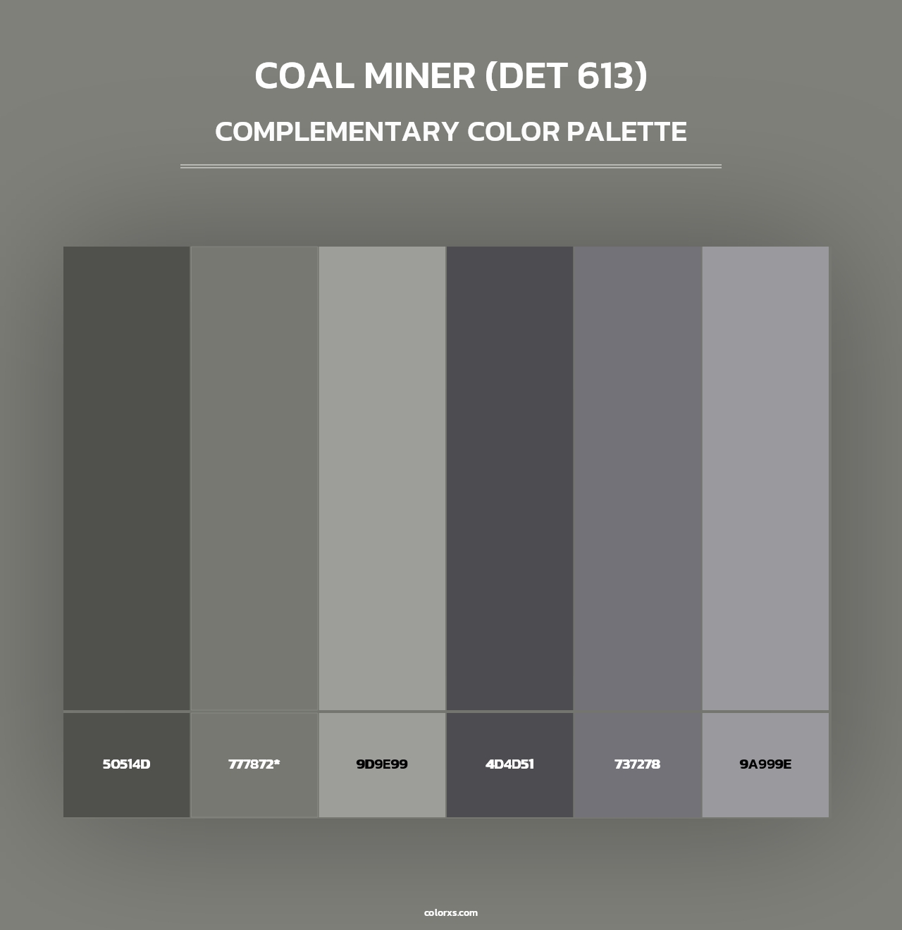 Coal Miner (DET 613) - Complementary Color Palette