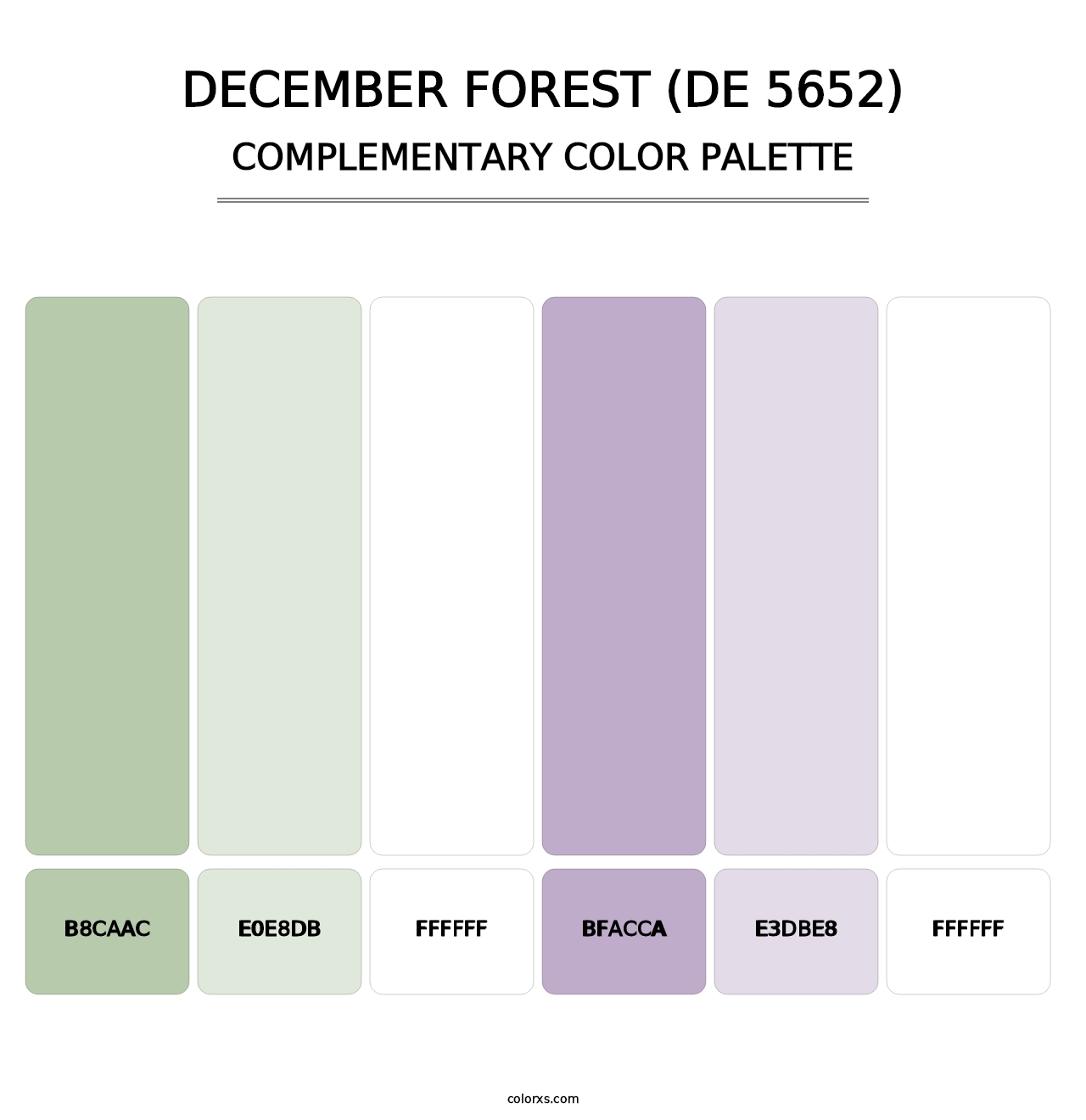 December Forest (DE 5652) - Complementary Color Palette