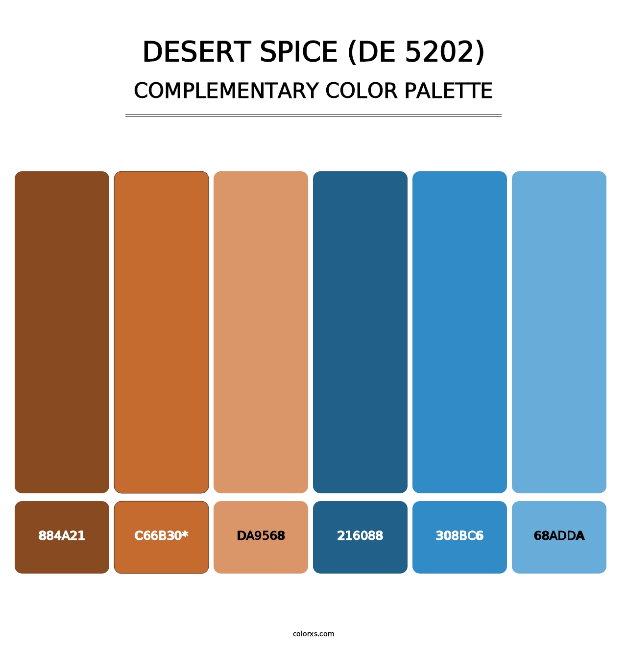 Desert Spice (DE 5202) - Complementary Color Palette