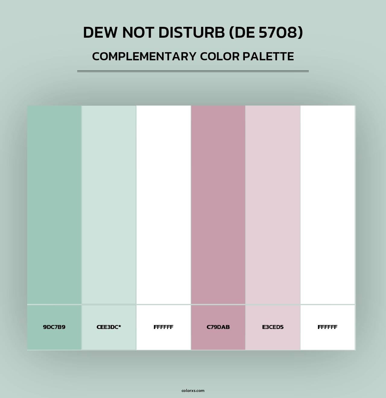 Dew Not Disturb (DE 5708) - Complementary Color Palette