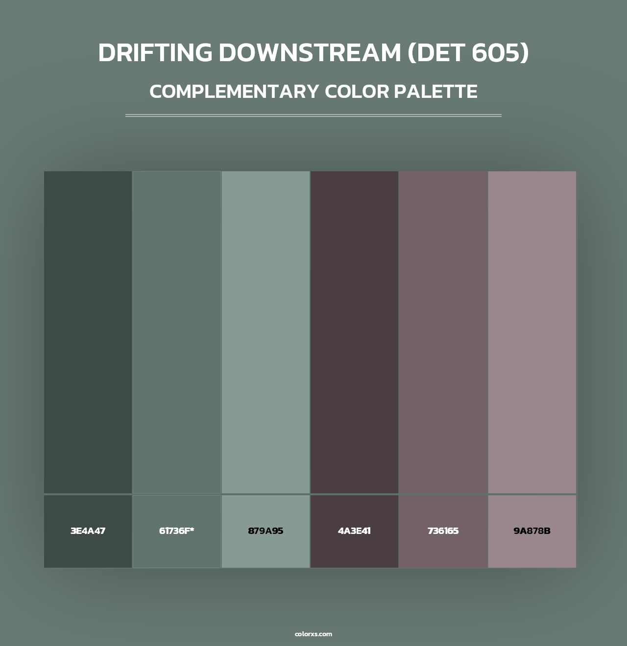 Drifting Downstream (DET 605) - Complementary Color Palette