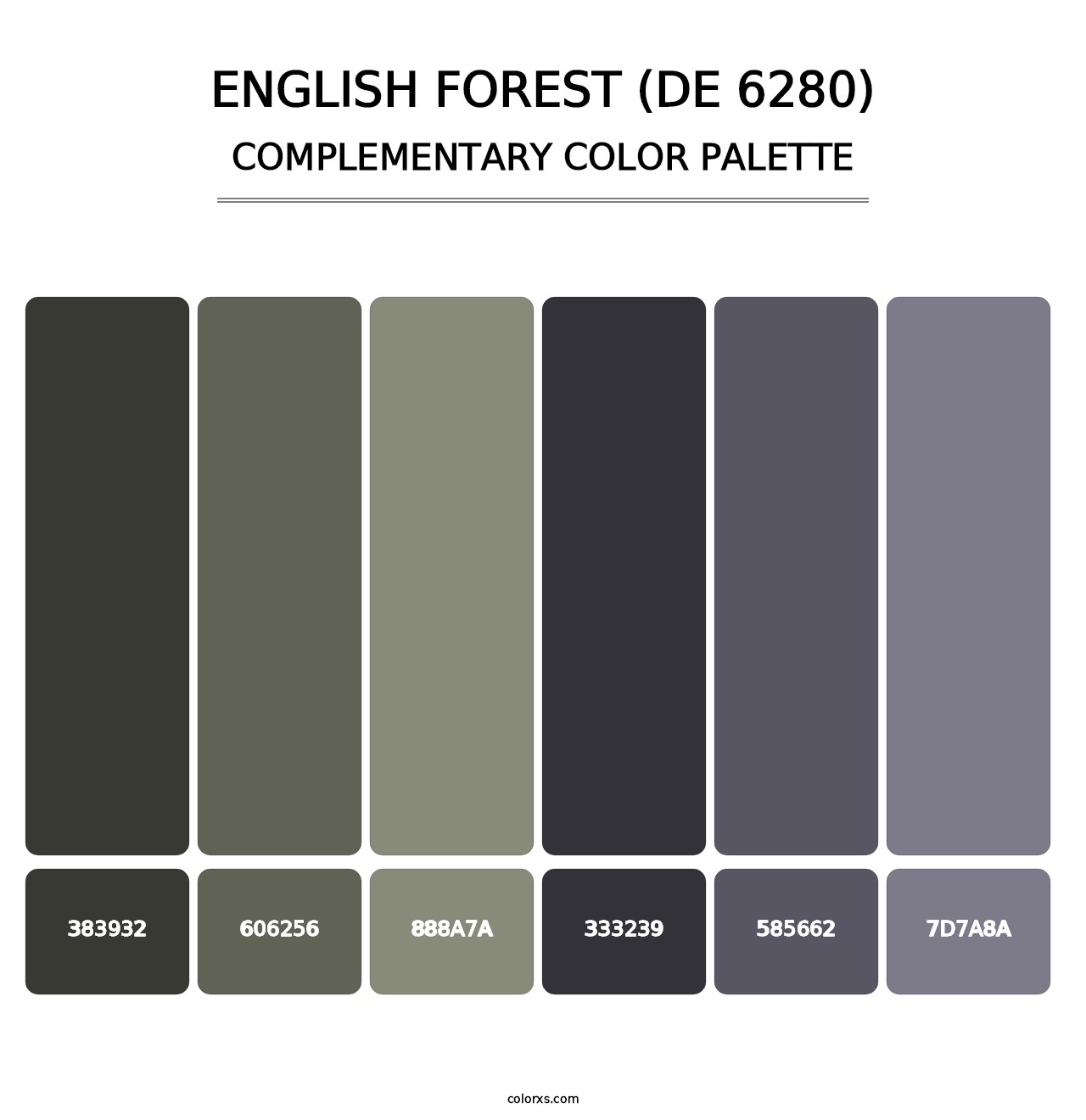 English Forest (DE 6280) - Complementary Color Palette