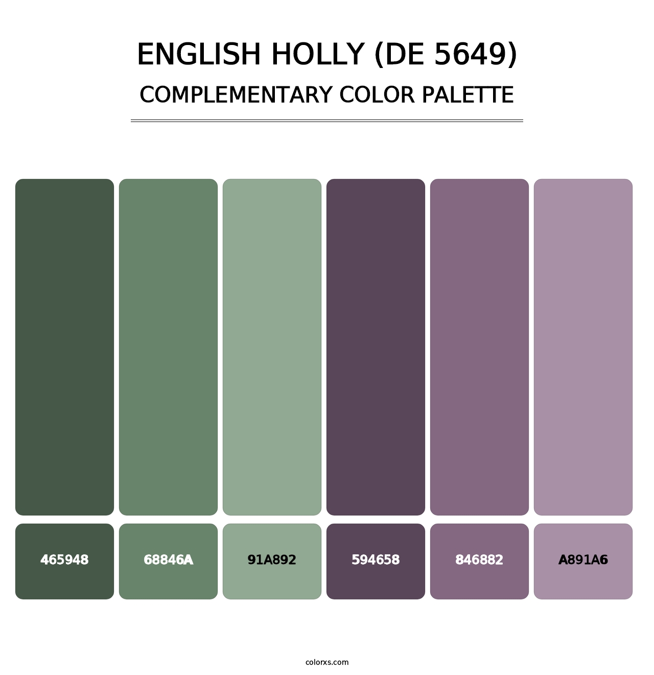 English Holly (DE 5649) - Complementary Color Palette