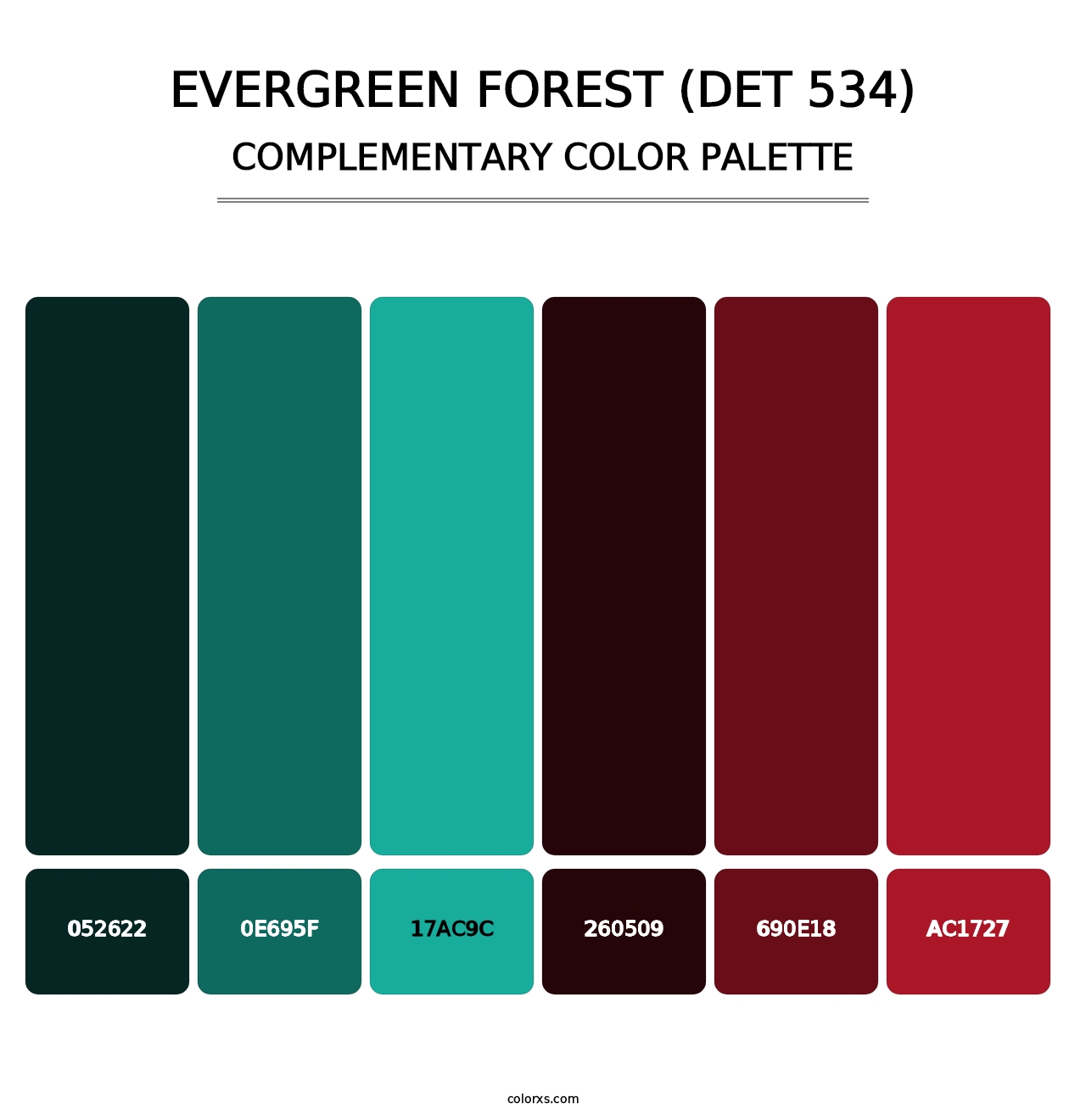 Evergreen Forest (DET 534) - Complementary Color Palette