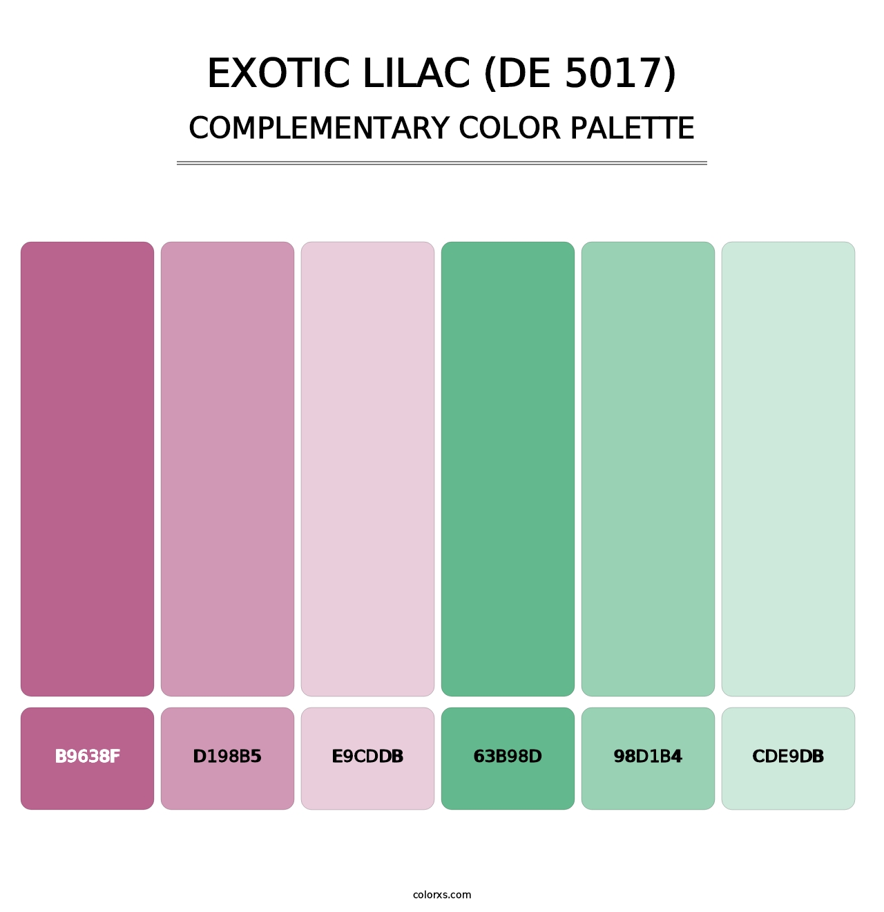 Exotic Lilac (DE 5017) - Complementary Color Palette