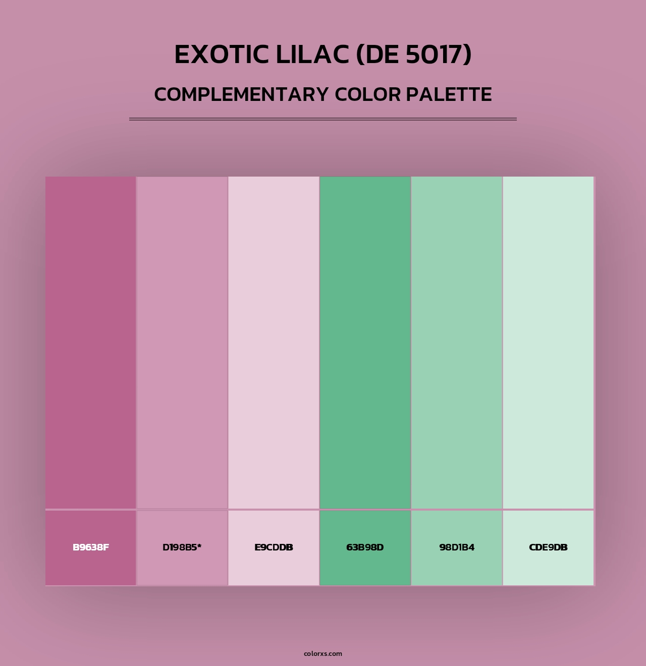 Exotic Lilac (DE 5017) - Complementary Color Palette