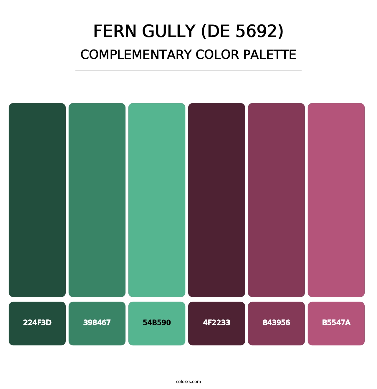 Fern Gully (DE 5692) - Complementary Color Palette