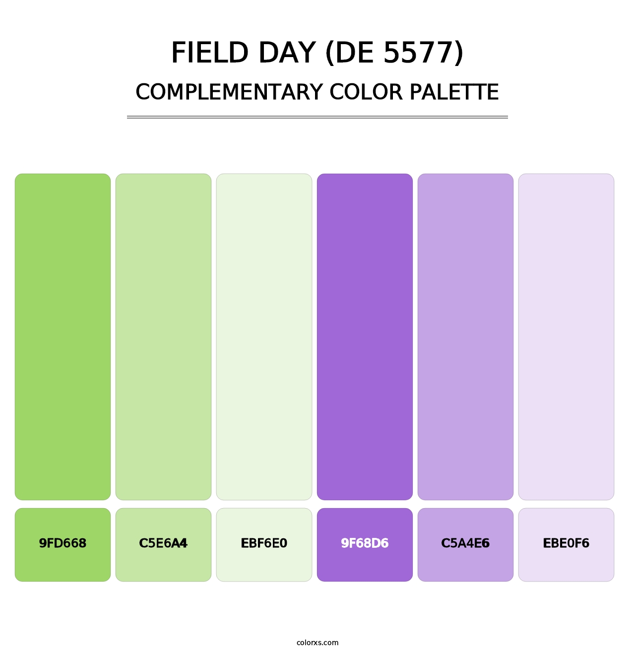Field Day (DE 5577) - Complementary Color Palette