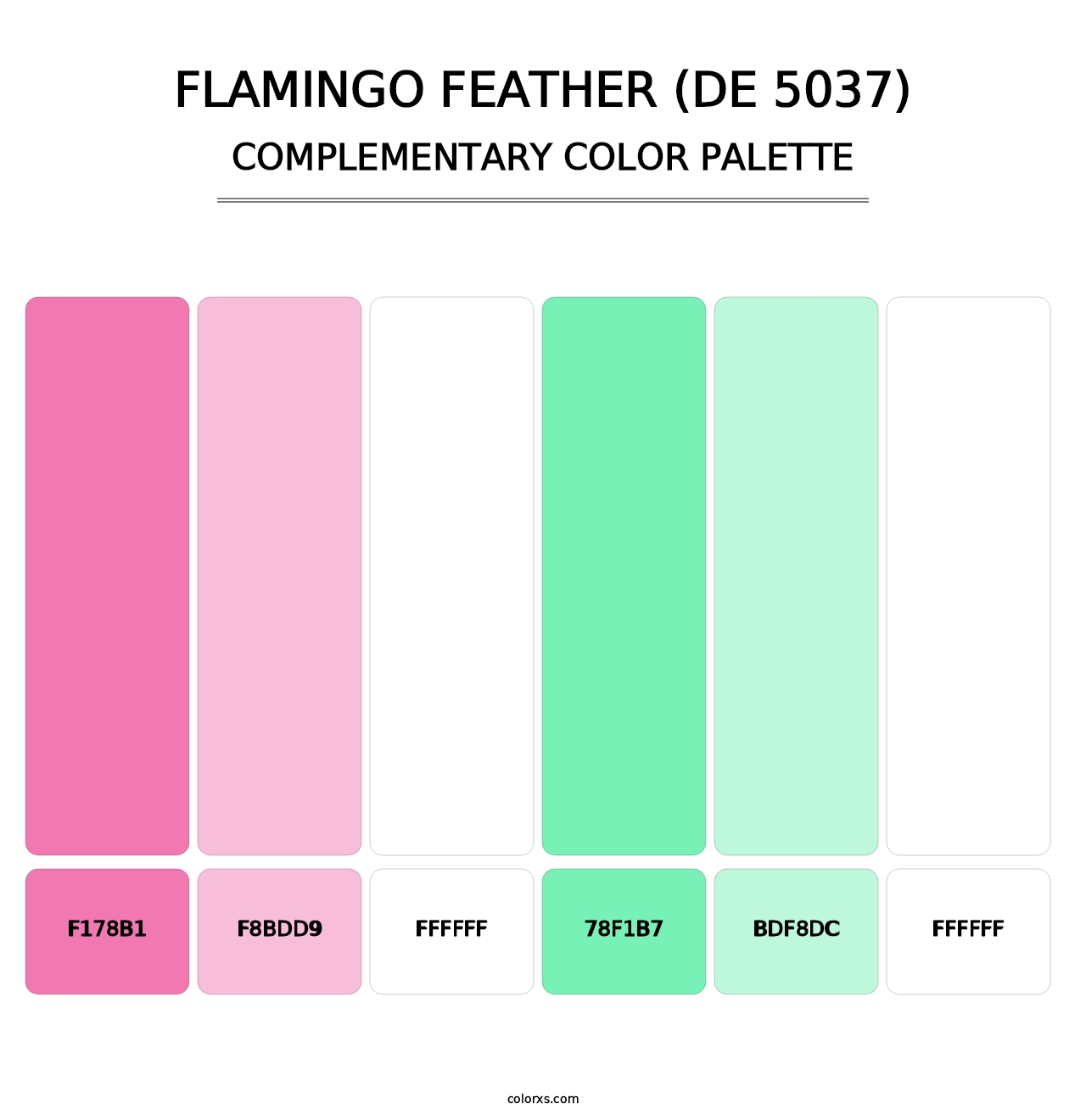 Flamingo Feather (DE 5037) - Complementary Color Palette