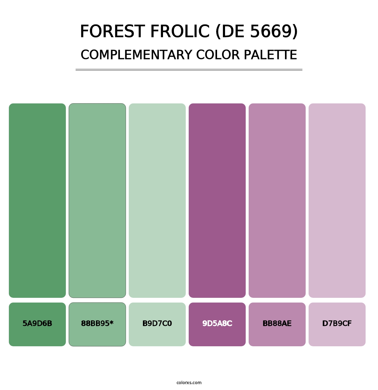 Forest Frolic (DE 5669) - Complementary Color Palette