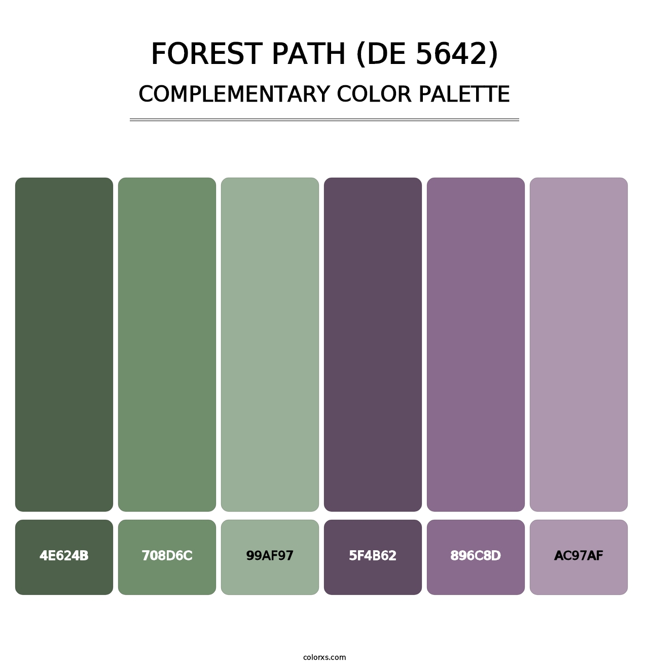 Forest Path (DE 5642) - Complementary Color Palette