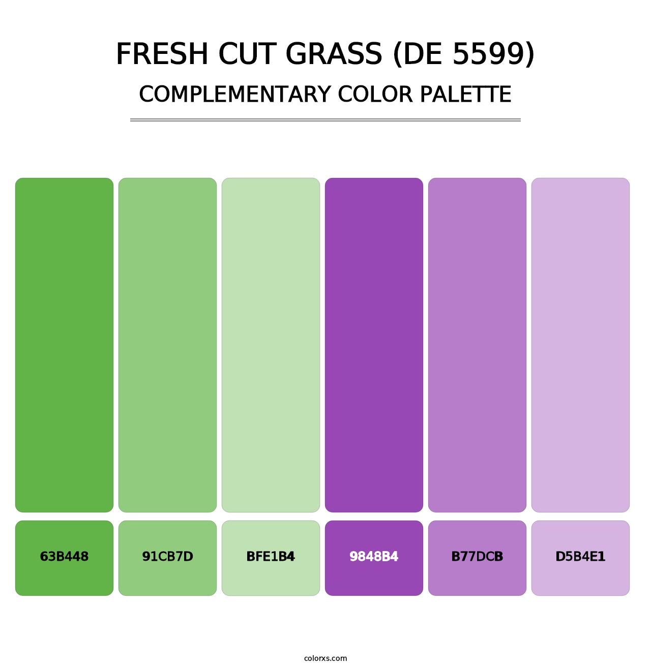 Fresh Cut Grass (DE 5599) - Complementary Color Palette