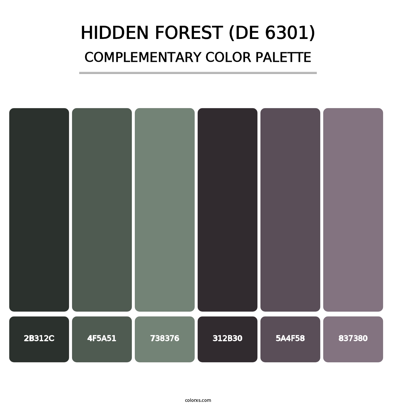 Hidden Forest (DE 6301) - Complementary Color Palette
