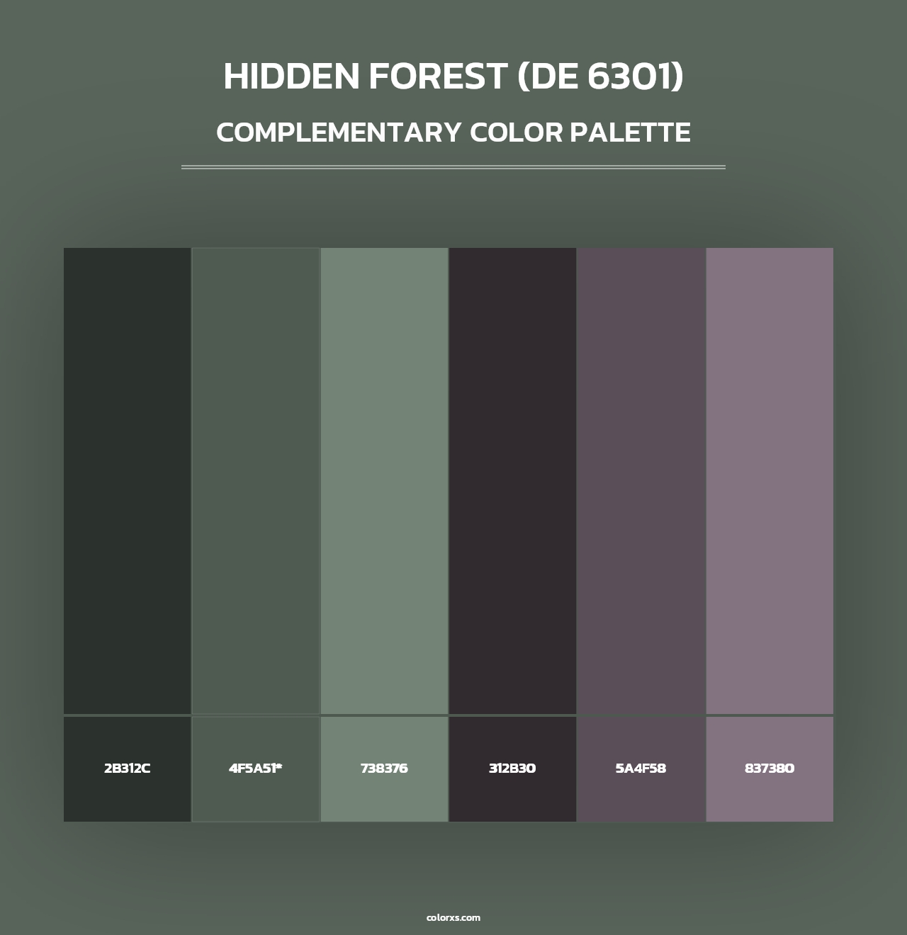 Hidden Forest (DE 6301) - Complementary Color Palette