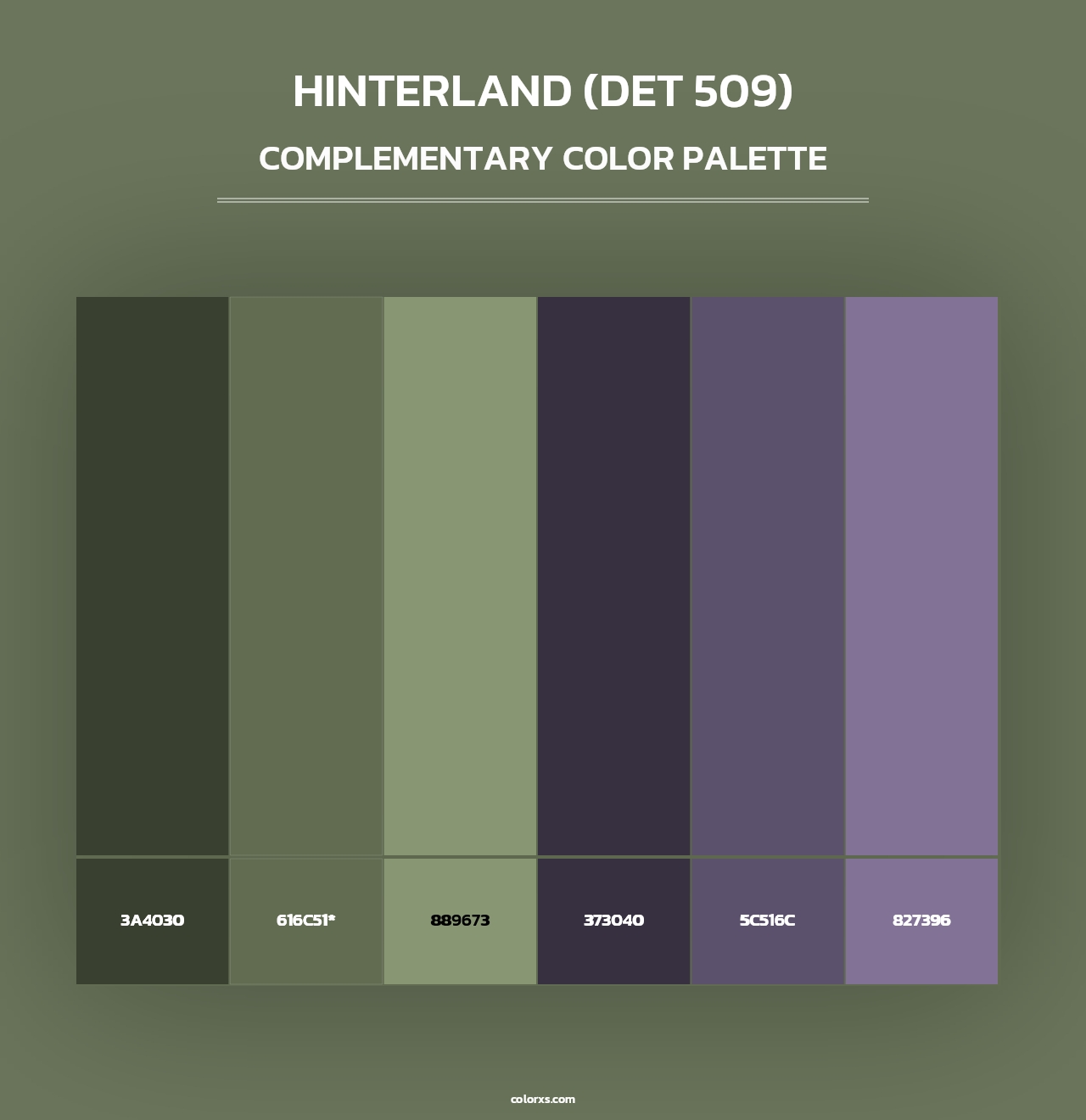 Hinterland (DET 509) - Complementary Color Palette