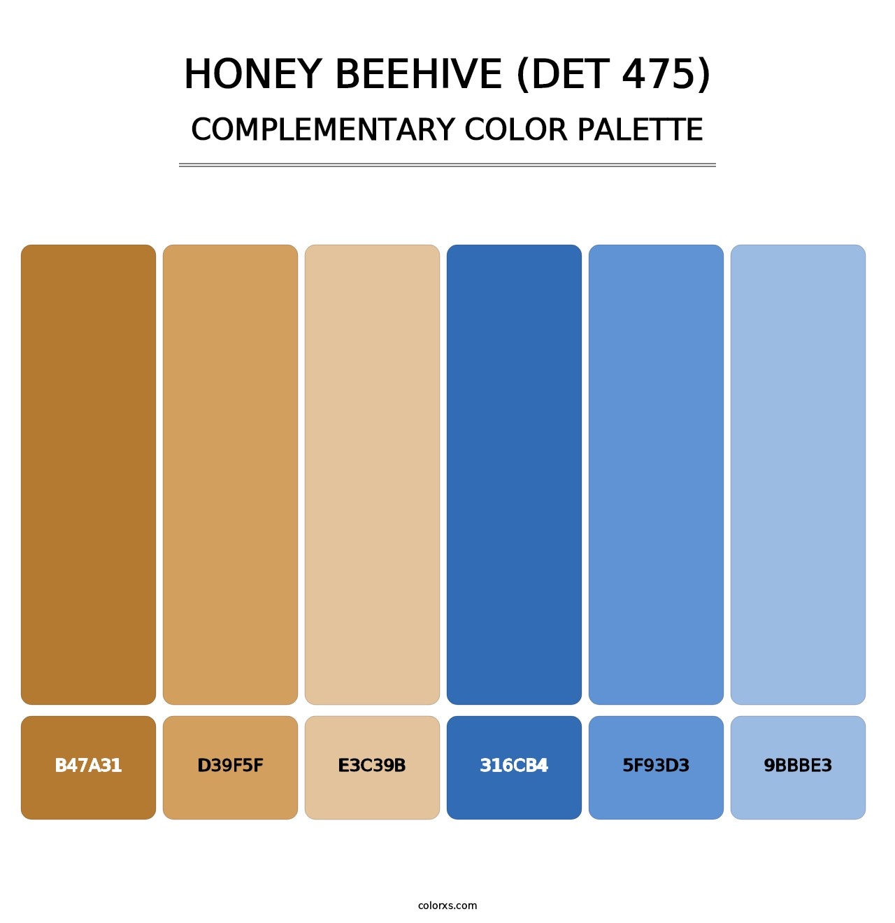 Honey Beehive (DET 475) - Complementary Color Palette