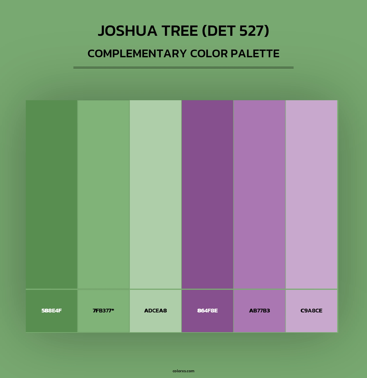 Joshua Tree (DET 527) - Complementary Color Palette