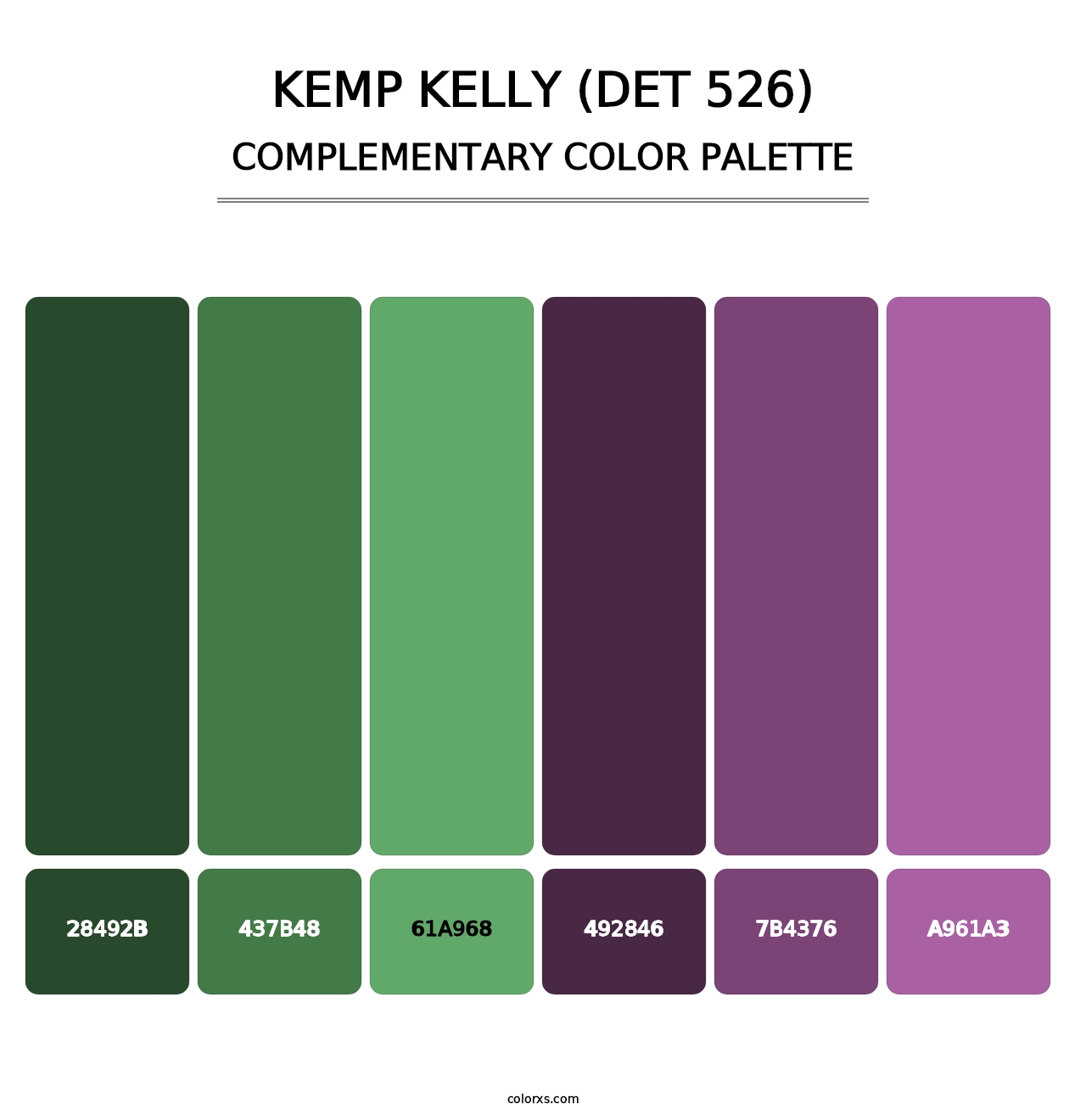 Kemp Kelly (DET 526) - Complementary Color Palette