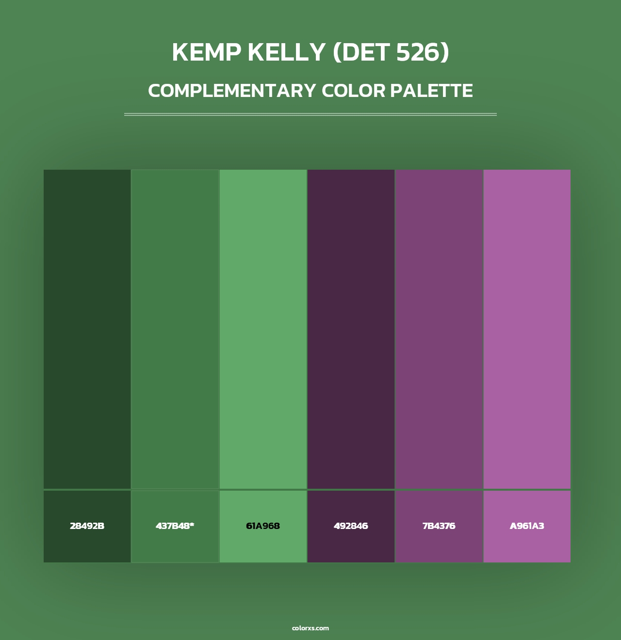 Kemp Kelly (DET 526) - Complementary Color Palette