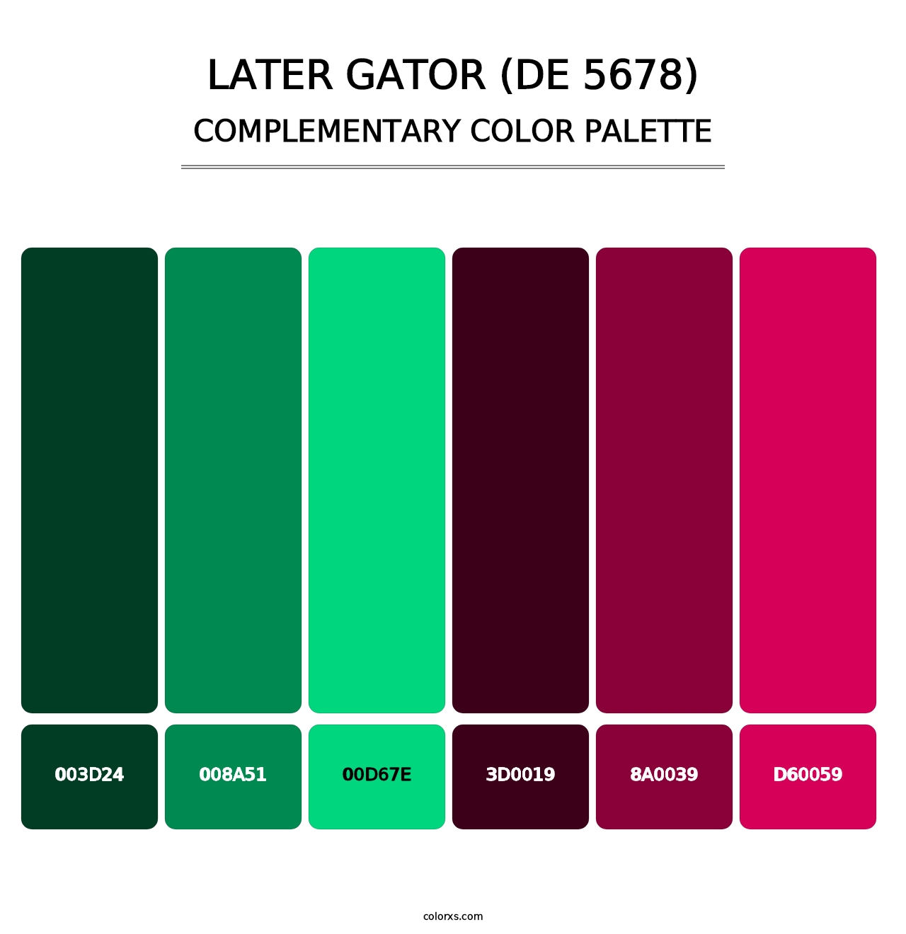 Later Gator (DE 5678) - Complementary Color Palette