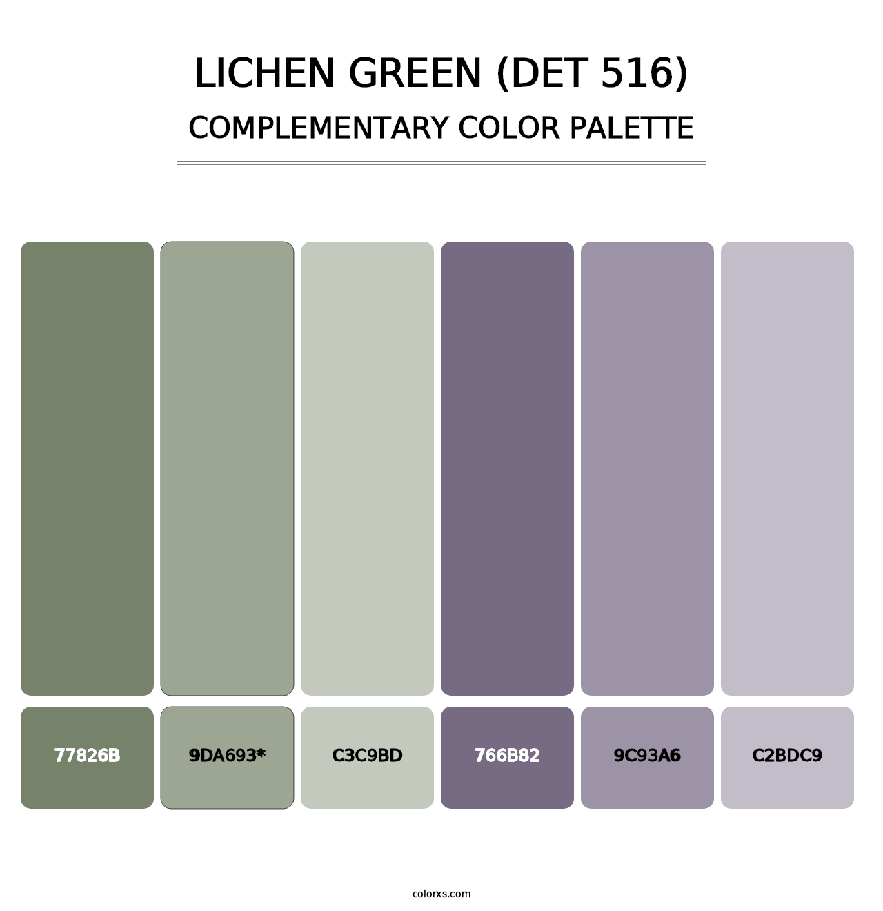 Lichen Green (DET 516) - Complementary Color Palette