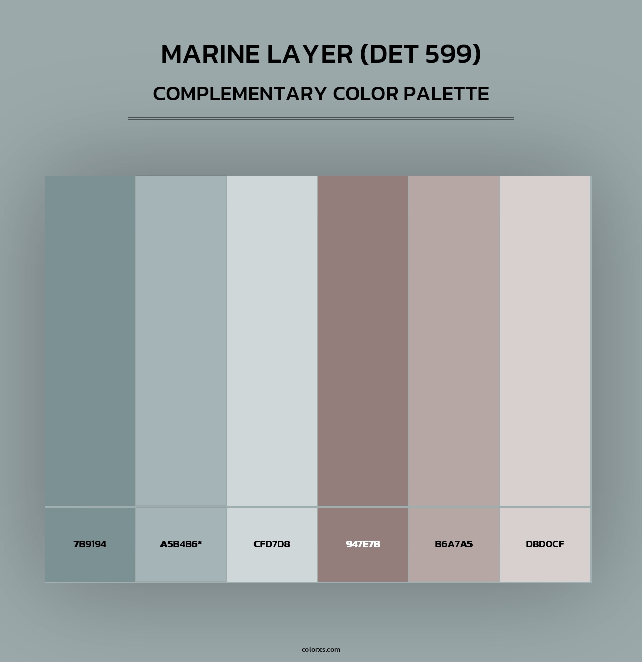 Marine Layer (DET 599) - Complementary Color Palette