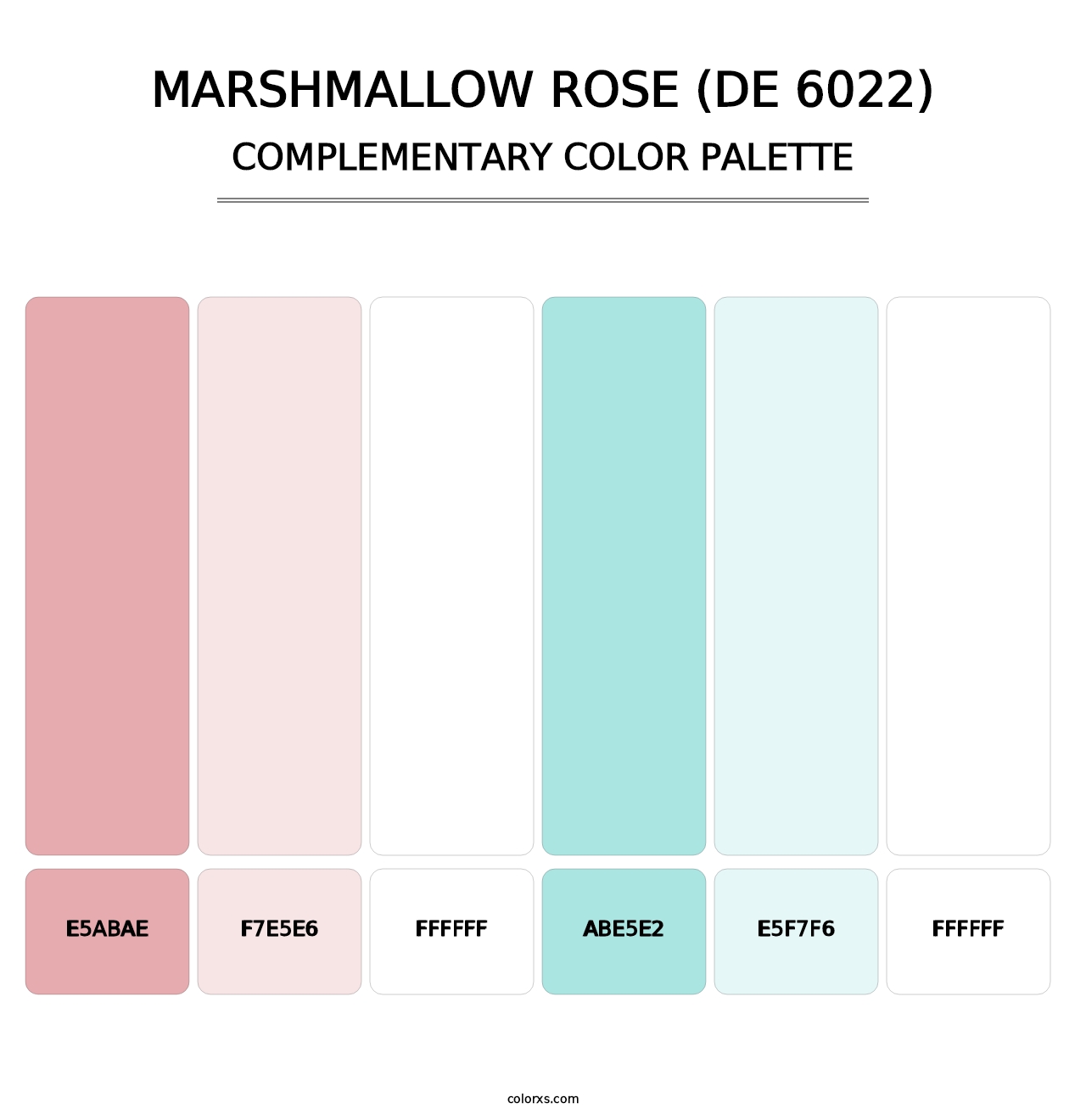 Marshmallow Rose (DE 6022) - Complementary Color Palette